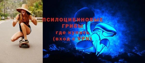 мет Ладушкин