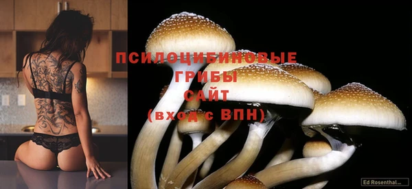 мет Ладушкин