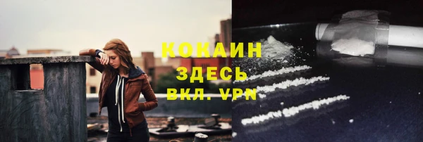 мет Ладушкин