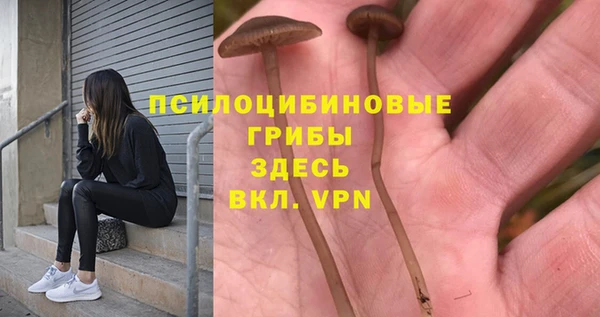 кристаллы Липки